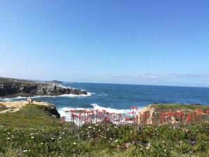 해변
