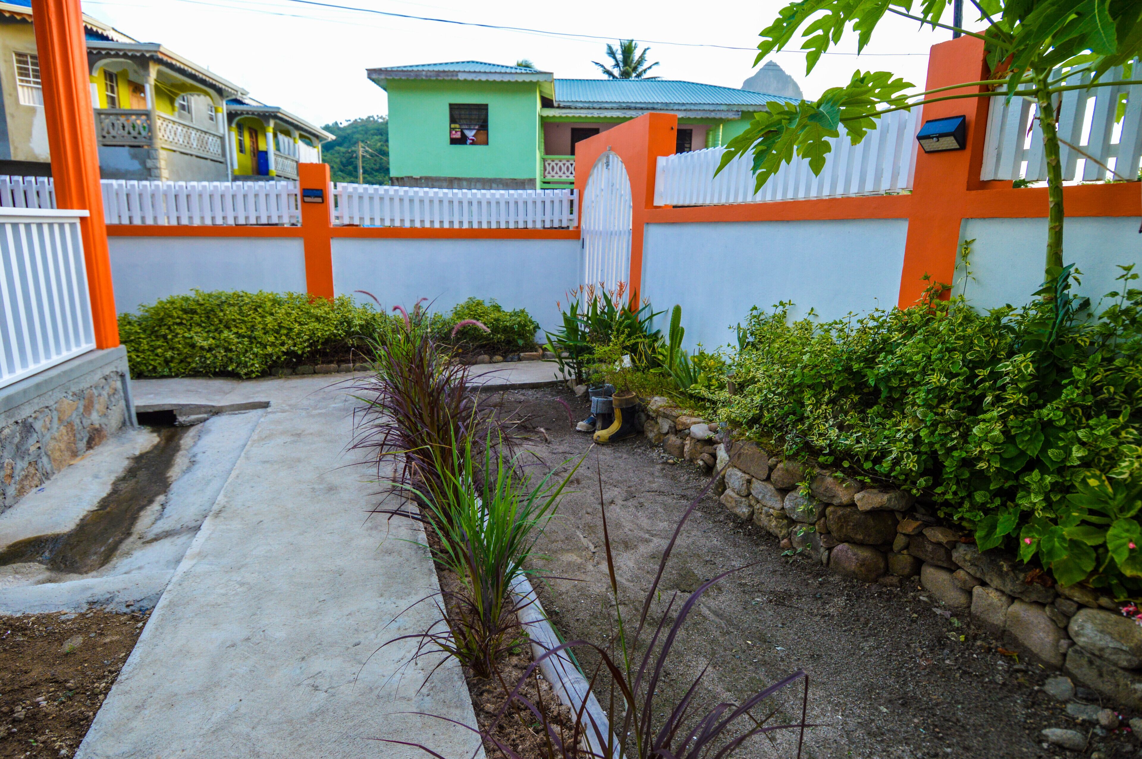 A residential garden with a concrete pathway, stone wall, and various plants.