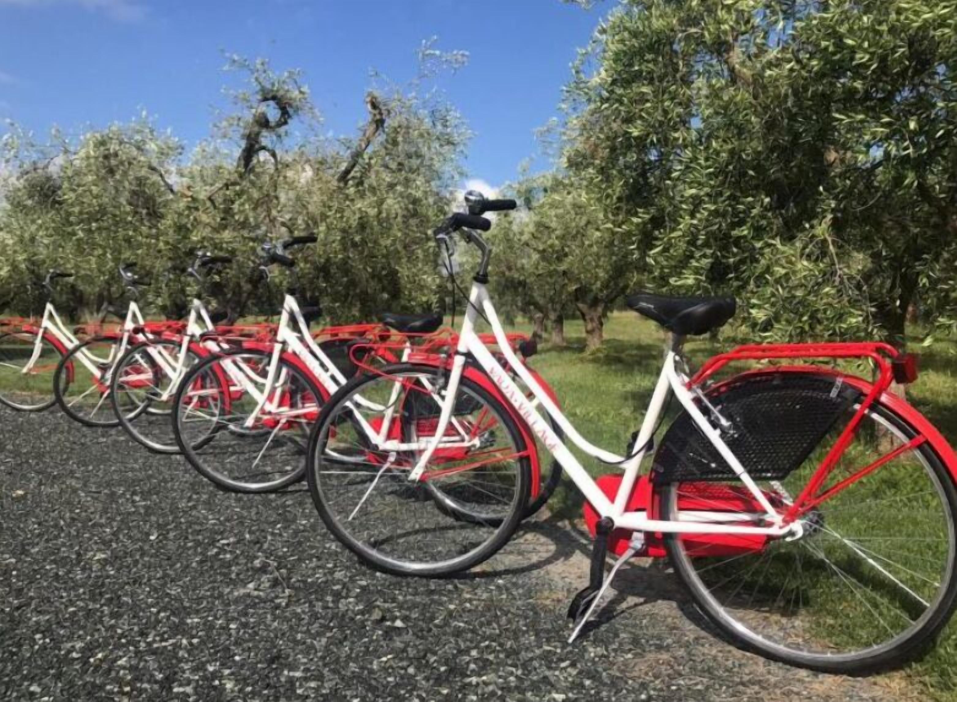 En række cykler parkeret på et grusunderlag med træer i baggrunden.
