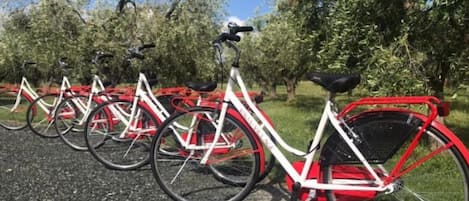 A row of bicycles parked on a gravel surface with trees in the background.
