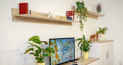 Apartment in the city center