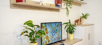 Apartment in the city center