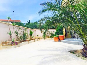 Une cour intérieure avec un mur incurvé, des plantes en pot et un palmier.