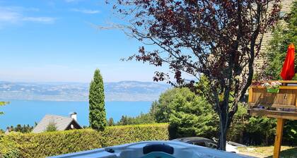 Chalet avec vue imprenable sur le lac Léman proche des pistes et télécabine