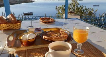 Dar elbidha guest house