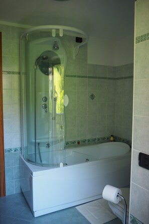 Combined shower/bathtub, jetted bath, hydromassage showerhead