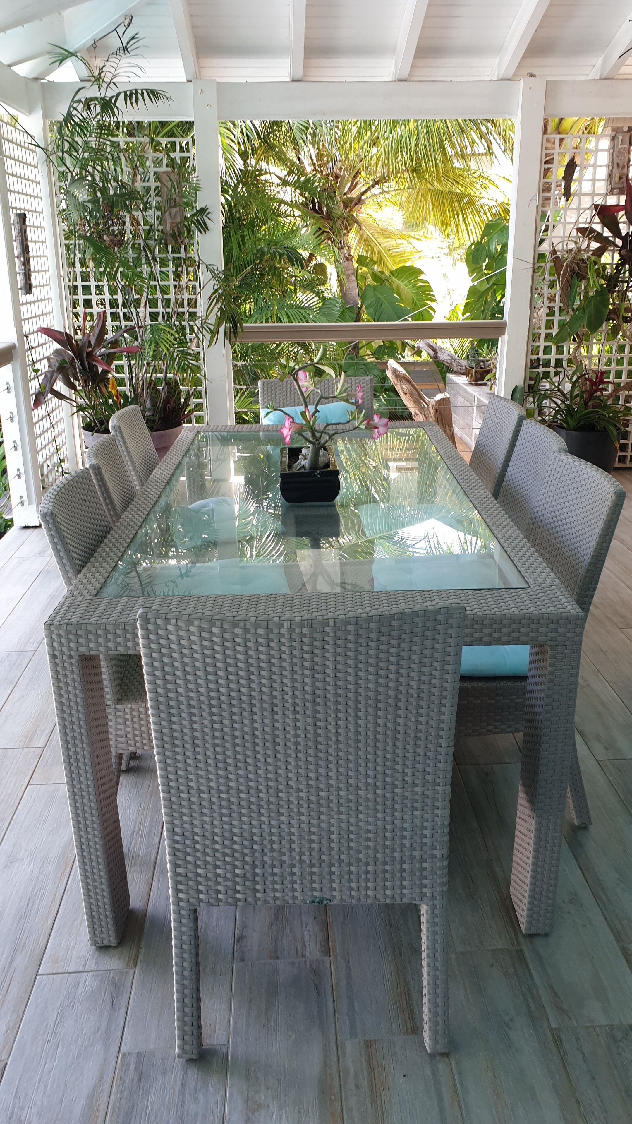 A covered outdoor dining area with a glass-top table surrounded by wicker chairs, potted plants, and a view of tropical foliage.