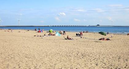 Charming house in Westenschouwen