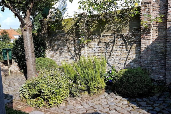 A stone wall with climbing plants, a tree, and a cobblestone pathway.