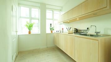 Full-sized fridge, oven, stovetop, electric kettle