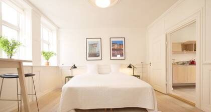 Central Canal Apartments 5