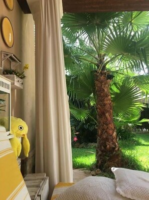 Botó d’imatge sense classificar, 5 de 37