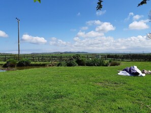 Property grounds - The Old Rectory B&B (Amlwch)