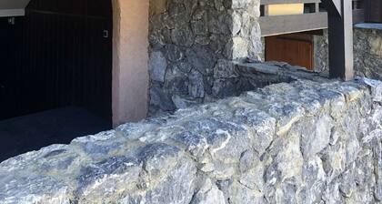 Pierrafort 31 - Charming 2-room apartment at the foot of the slopes