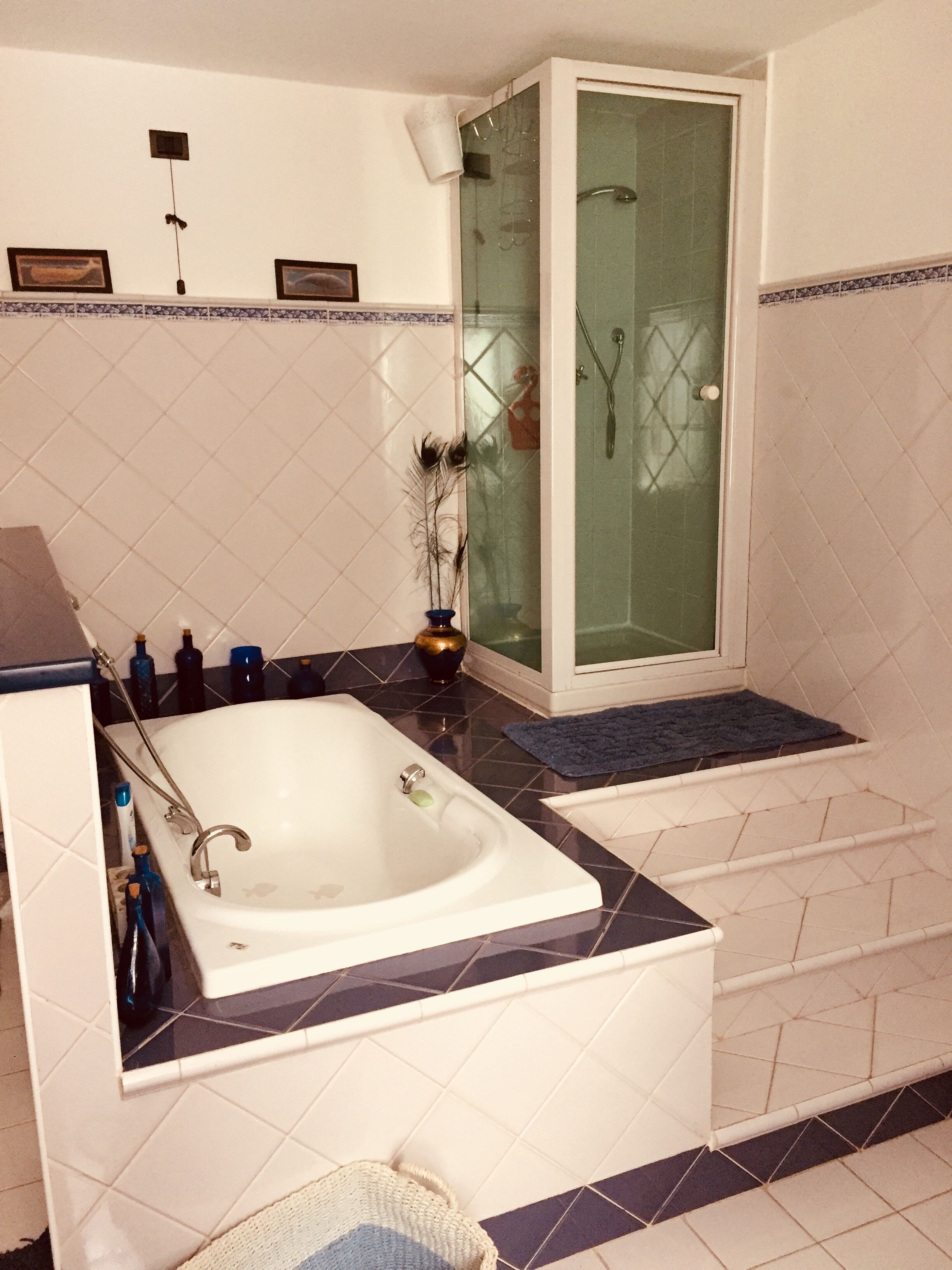 Bathtub, hair dryer, bidet, towels