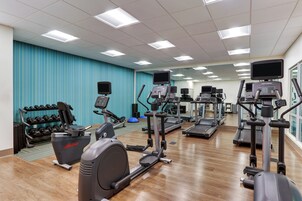 Un gimnasio con máquinas de cardio variadas, pesas y un muro con espejos.