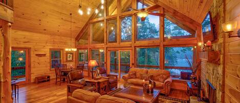 Télévision, cheminée, livres