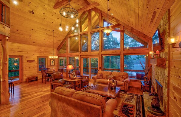 TV, fireplace, books