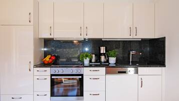 Fridge, oven, stovetop, dishwasher