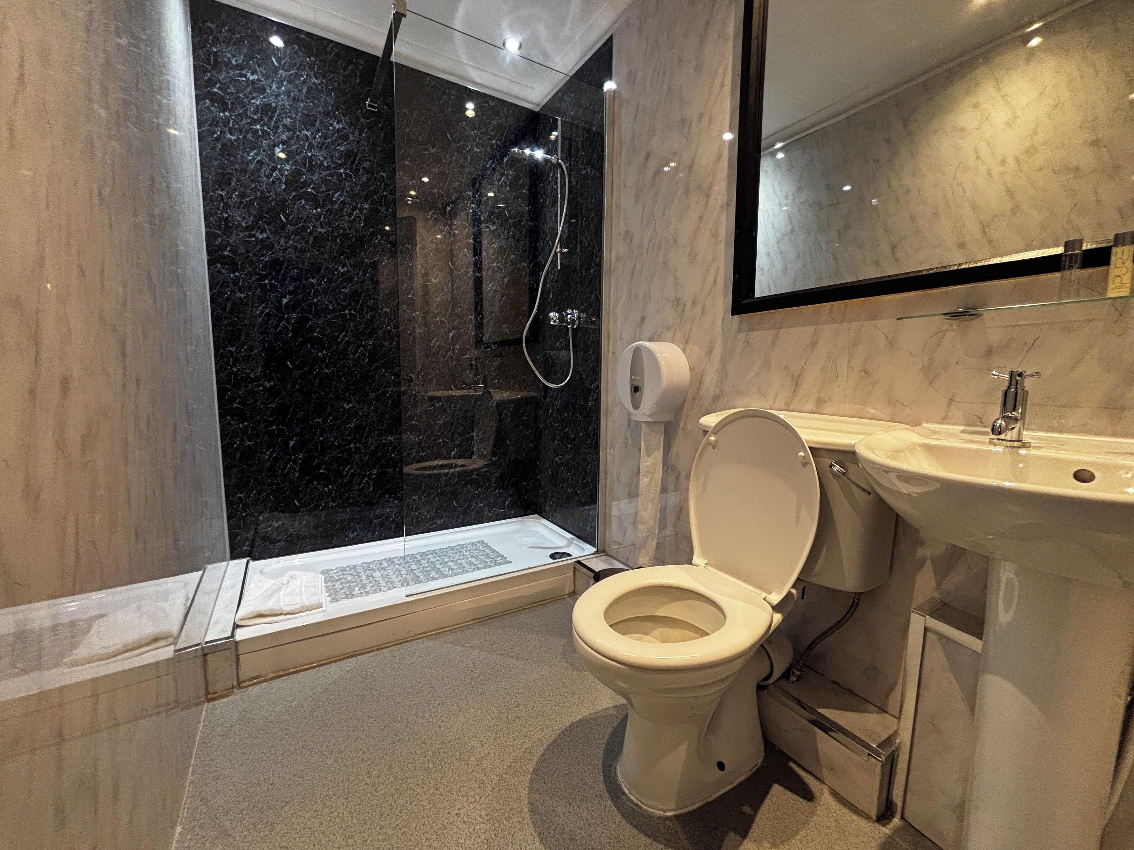 A modern bathroom with a glass-enclosed shower, a toilet, and a sink.