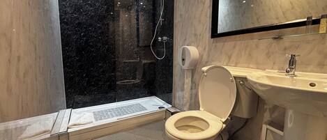 A modern bathroom with a glass-enclosed shower, a toilet, and a sink.