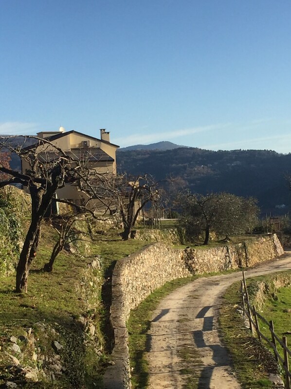 A rural road curving through a landscape with stone walls and sparse vegetation. - Joie de Vivre (Calice Ligure)