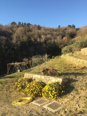 Garden - Joie de Vivre (Calice Ligure)