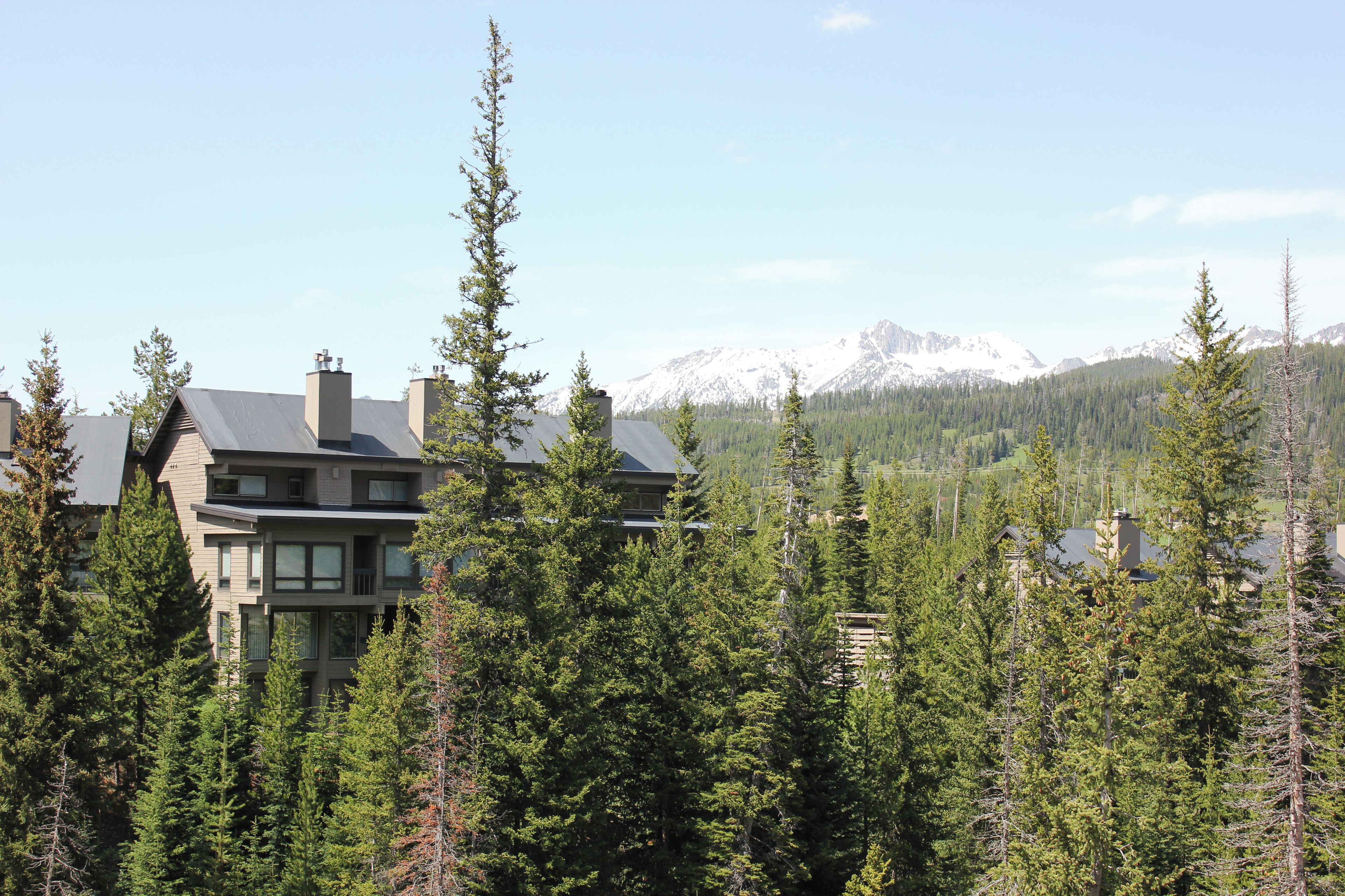 A multi-story building surrounded by dense forest and mountains in the background.