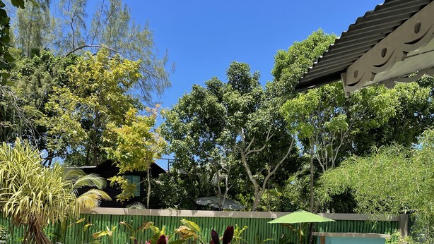 Outdoor pool - Bak A Yaad Timberland Cottage (Negril)