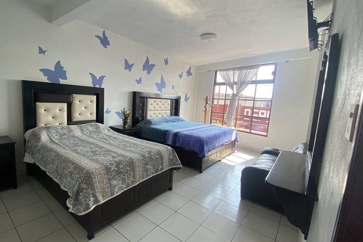 Family Studio Suite, Multiple Beds, Private Bathroom | Iron/ironing board (on request), WiFi (free), bed sheets