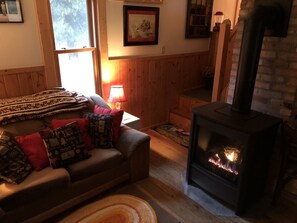 Fireplace, books