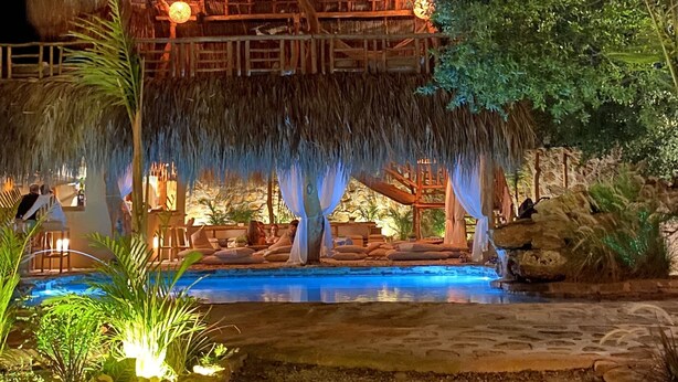 A thatched-roof structure with a pool and surrounding vegetation.