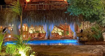 Ecoxata - Adults Only