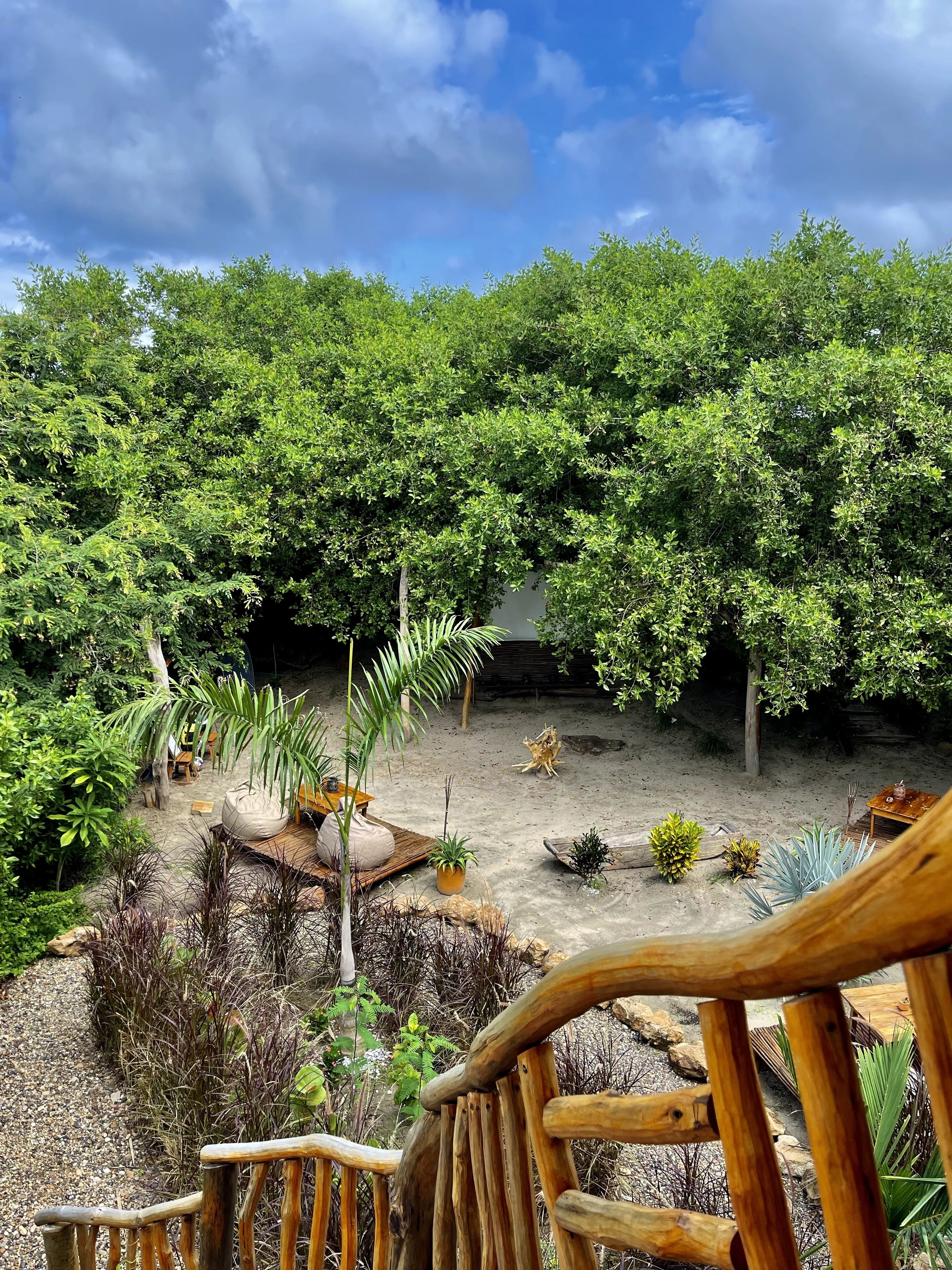 A lush garden with dense foliage, a wooden deck, and a sandy area with potted plants.