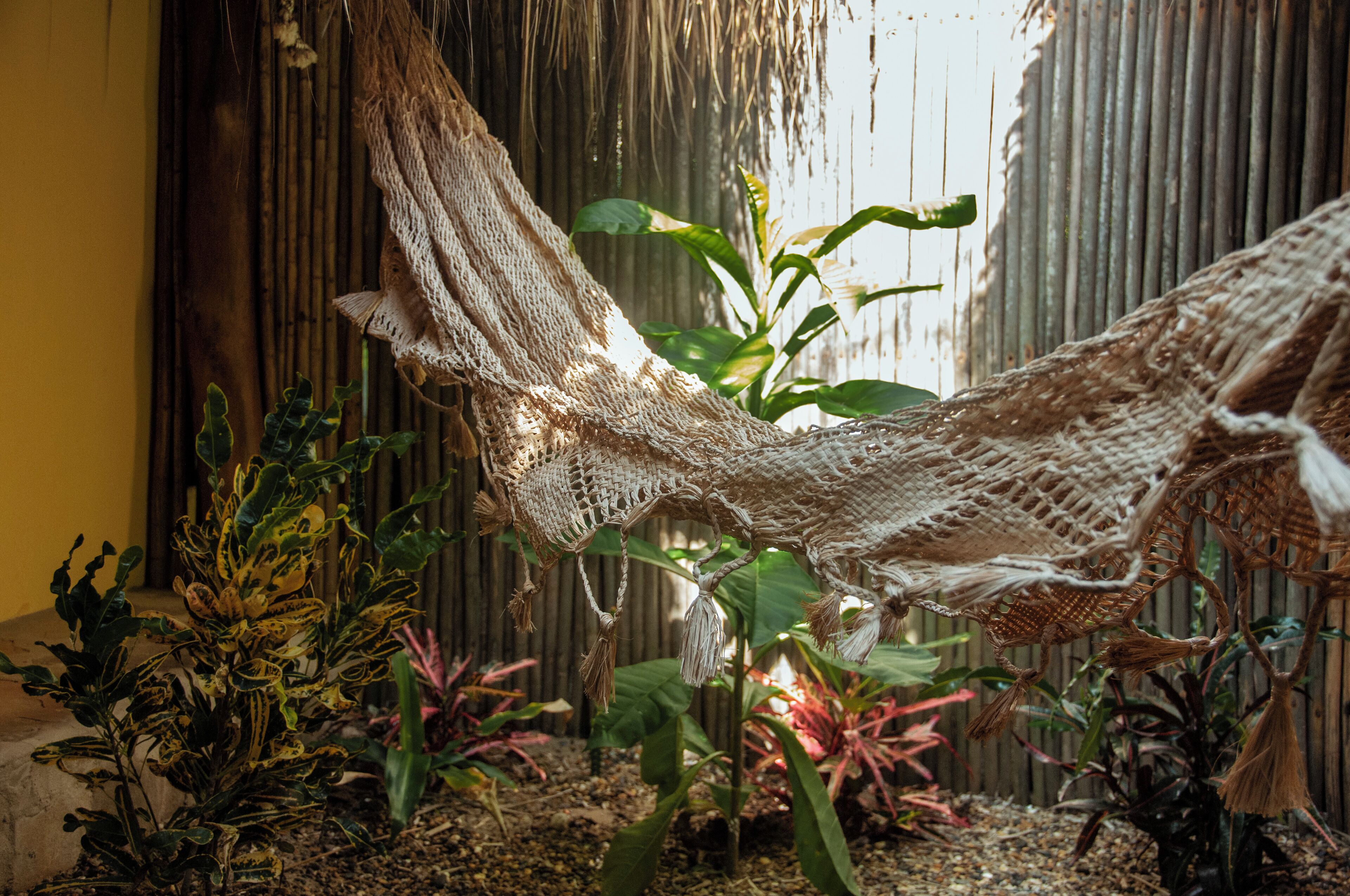 A hammock hanging between two bamboo poles, surrounded by various plants and a bamboo fence.