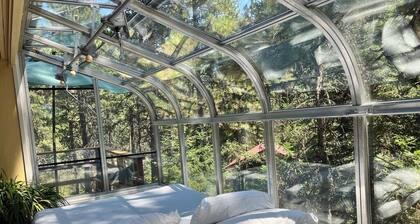 Mt Ashland Homestead, Ashland 10m., 40 acres ridgetop old forest, right by PCT