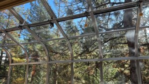 Una habitación con un ventanal grande con vistas a un bosque.