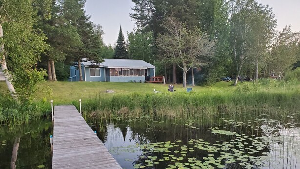 A wooden dock leading to a house with a blue roof, surrounded by trees and a pond with lily pads. - Cabin on lake close to ATV & snowmobile trails (Bigfork)