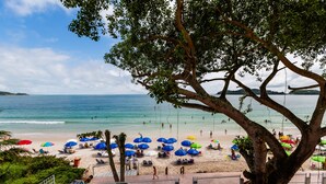 Een strand met parasols, ligbedden en een grote boom.
