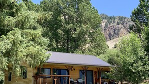 A wooden cabin with a metal roof, surrounded by trees and a mountain in the background.