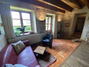 Televisie, een open haard, videospelletjes en een dvd-speler