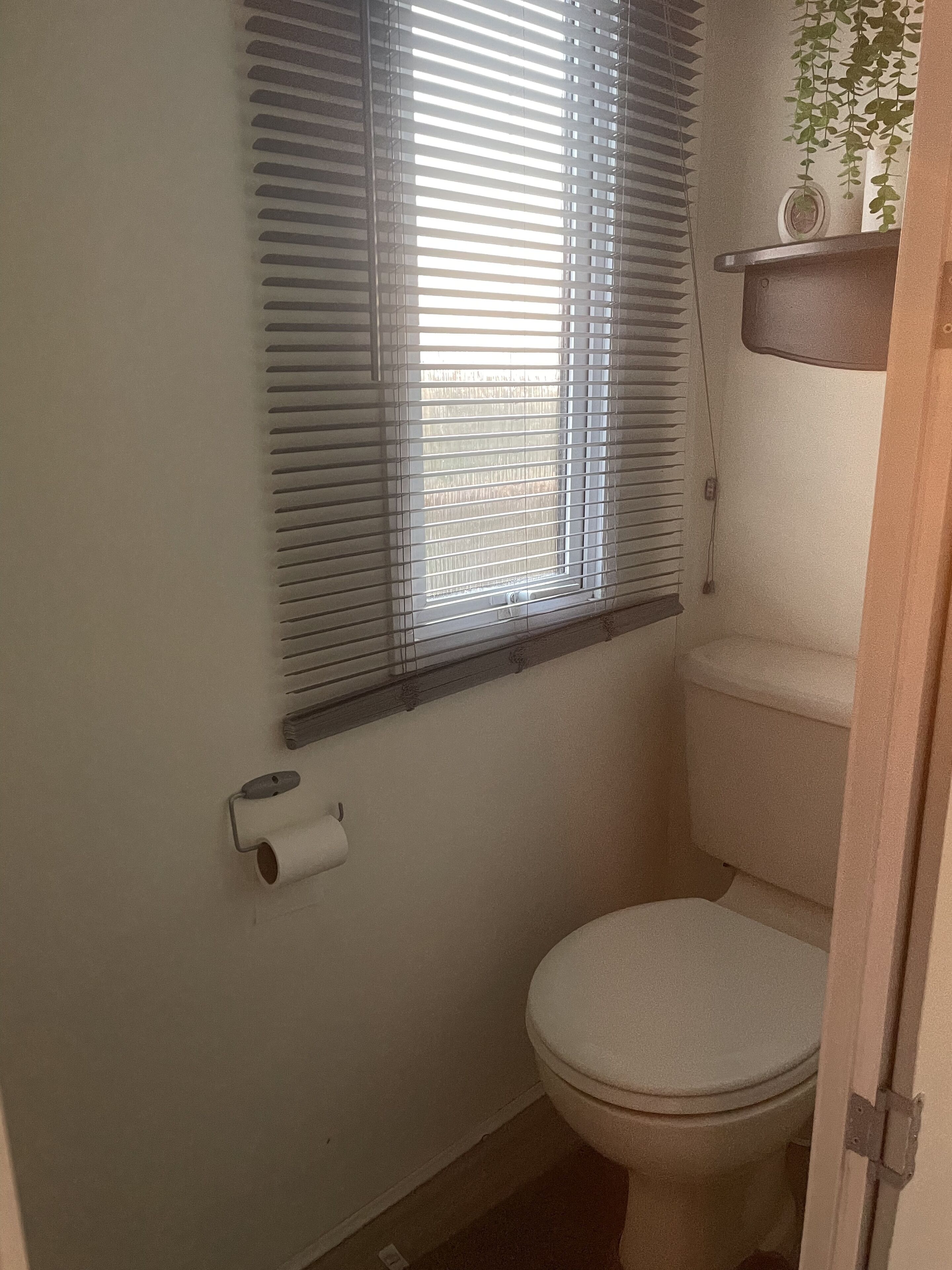 Een kleine badkamer met toilet, een raam met zonwering, een toiletrolhouder en een plankje met een plant.