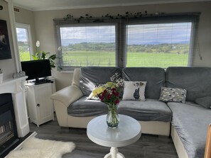 Televisión de pantalla plana, chimenea