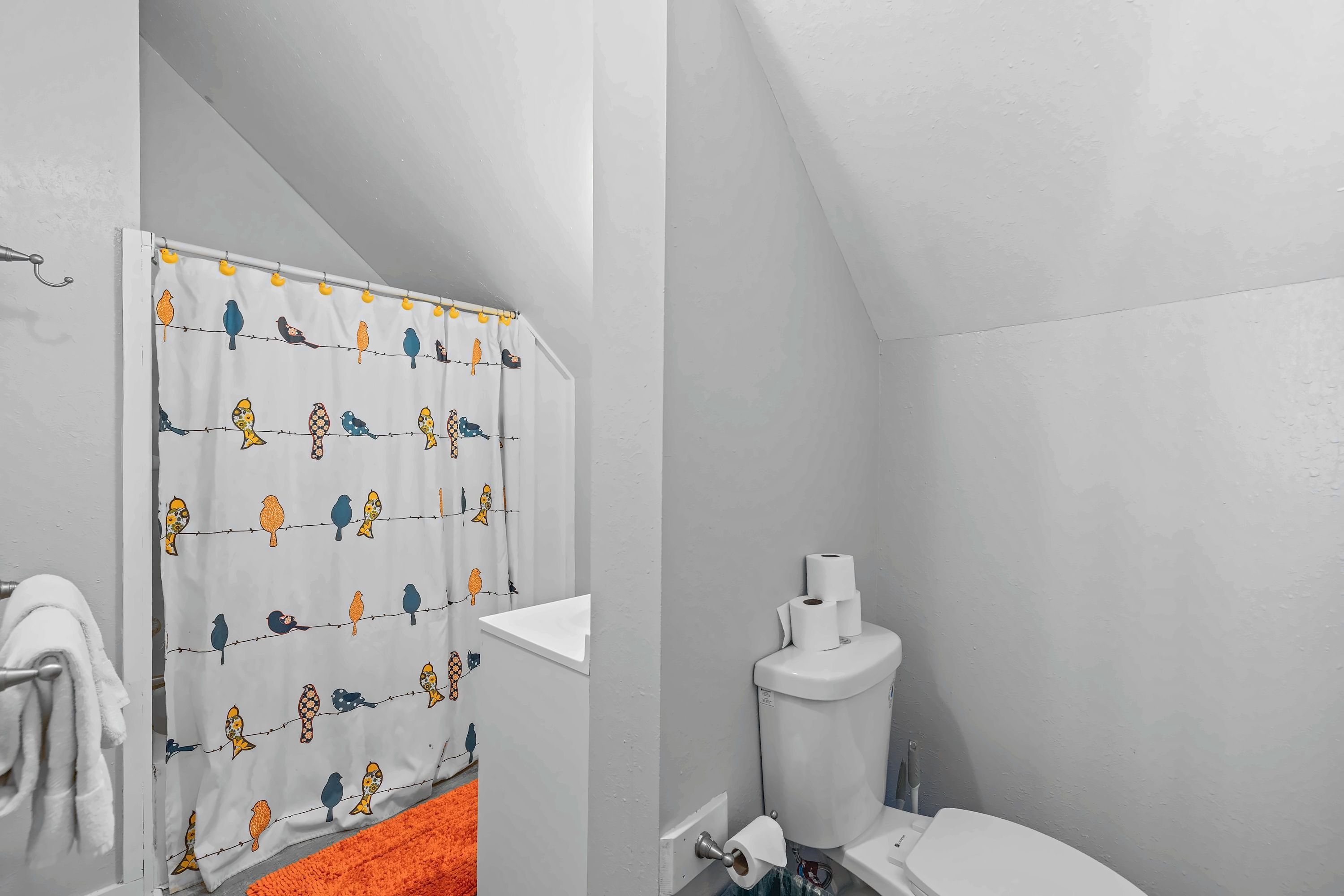 Une salle de bain avec des toilettes, un rideau de douche orné de motifs d’oiseaux et un porte-serviettes.