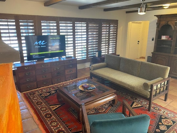 TV, fireplace, books, music library