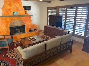 TV, fireplace, books, music library