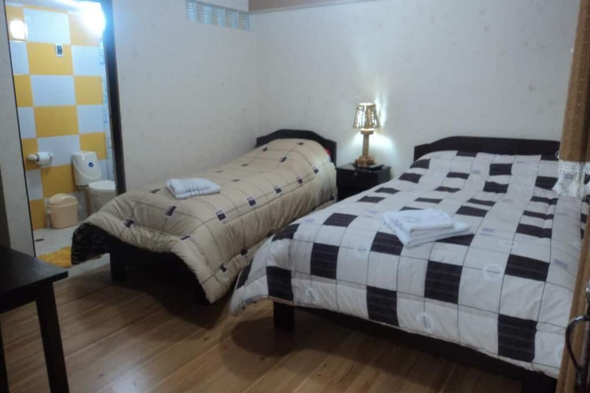 Basic Twin Room