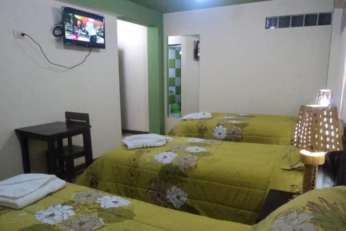Basic Triple Room