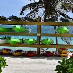 Paseos en kayak