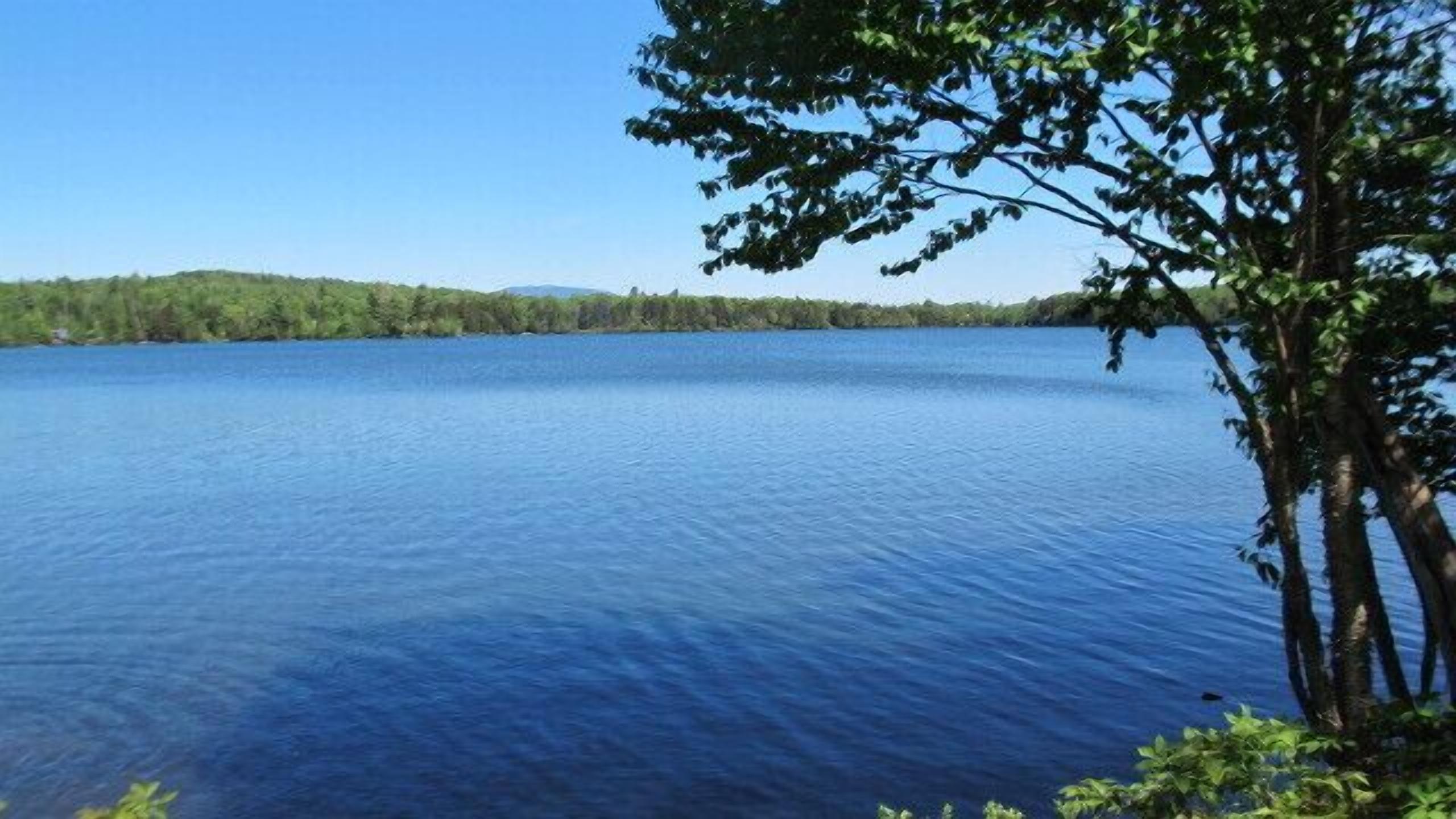 Russell's on Quimby Pond - Quaint little cabin on Quimby Pond
